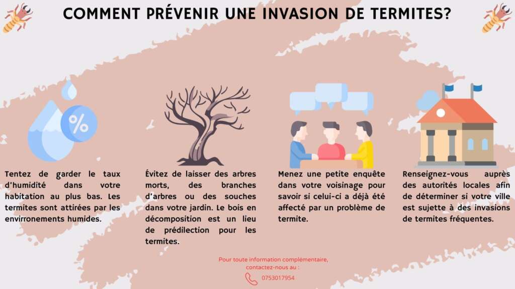 Comment prévenir une invasion de termites