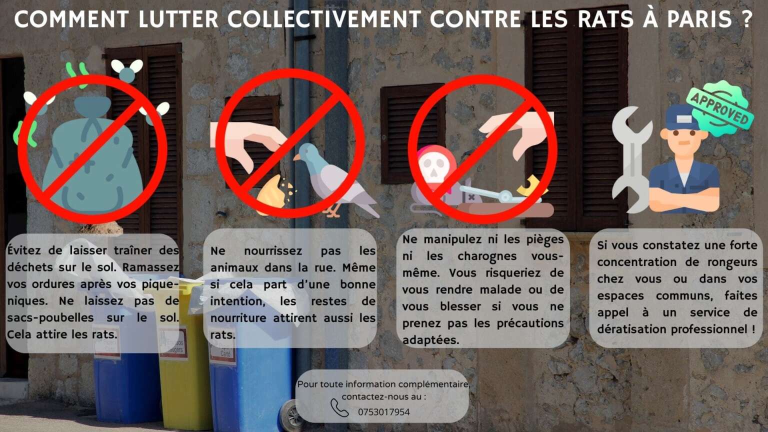 Comment lutter collectivement contre les rats à Paris ?