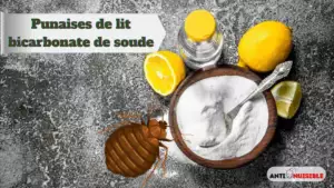 punaise de lit bicarbonate de soude