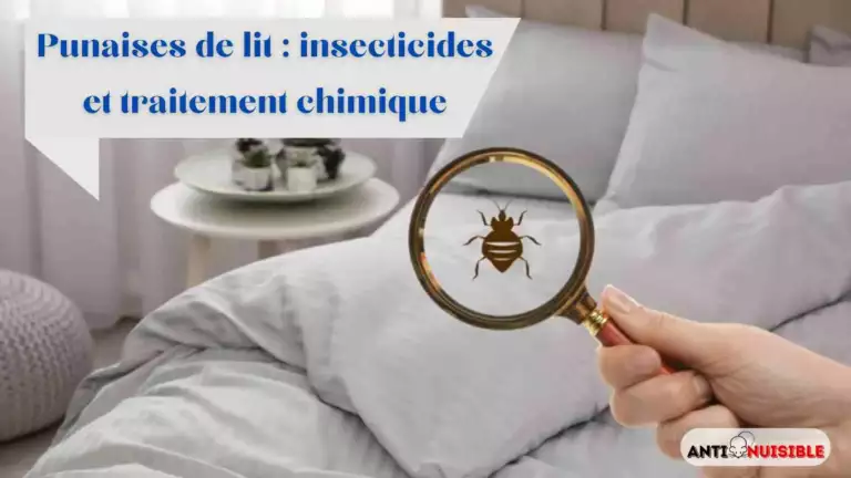 Punaises de lit : insecticides et traitement chimique