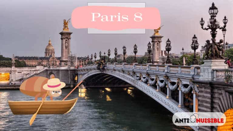 Punaises de lit Paris 8 Pont Alexandre III
