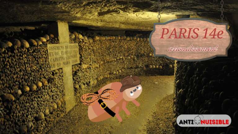 Punaises de lit Paris 14 Catacombes