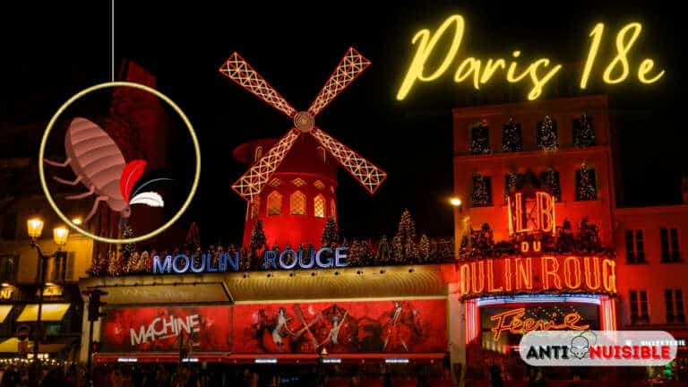 Punaises de lit Paris 18 Moulin Rouge 2