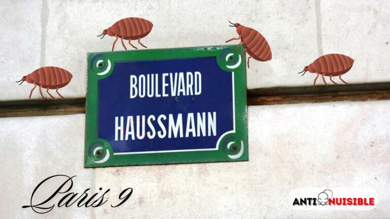 Punaises de lit Paris 9 Haussmann