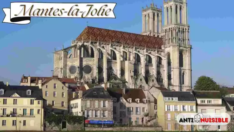 Mantes la Jolie Punaise de lit