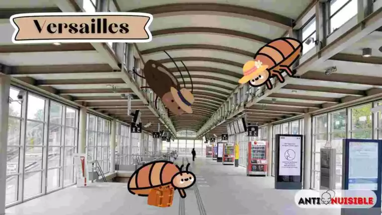Punaises de lit Versailles Gare