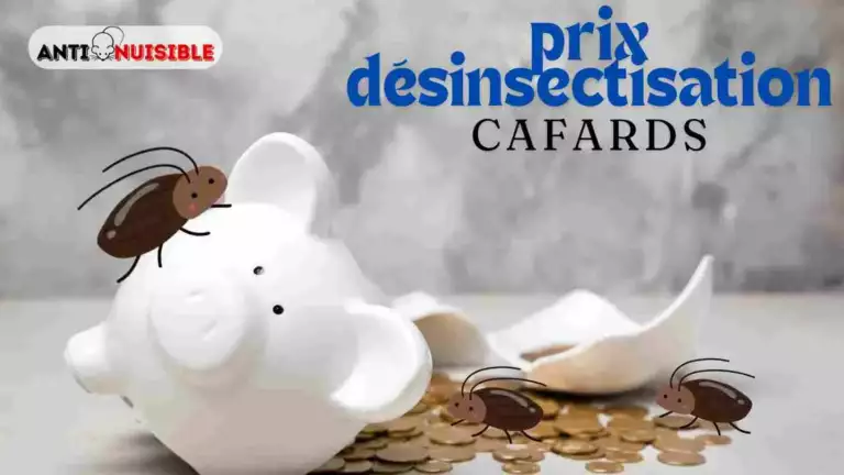 Prix désinsectisation cafards