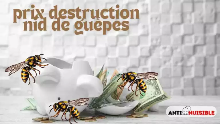 Tarif destruction nid de guêpes