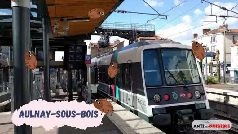 Gare d'Aulnay-sous-Bois