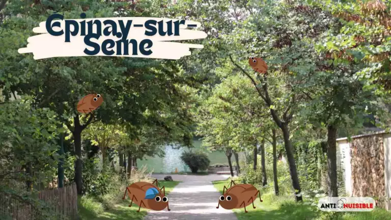 Le parc à Épinay-sur-Seine