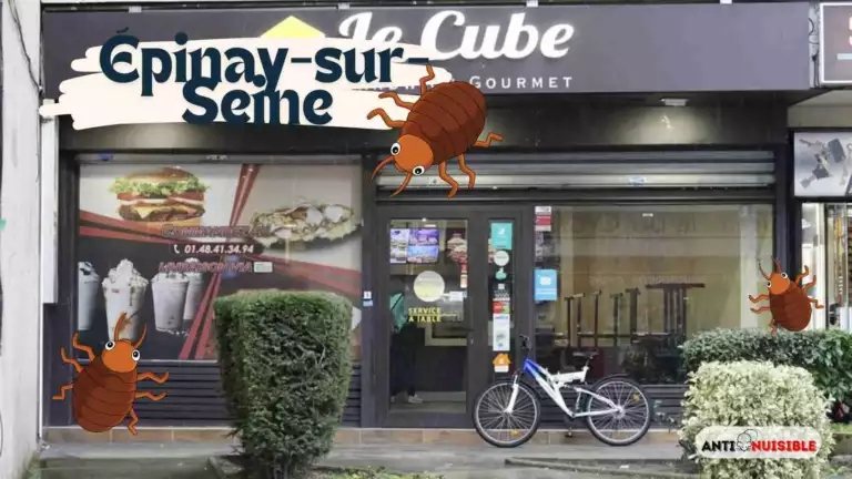 Le Cube Restaurant Épinay-sur-Seine