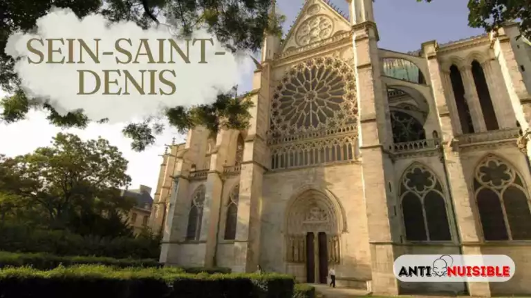 Punaises de lit Seine-Saint-Denis