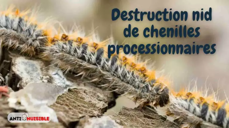 Destruction nid de chenilles processionnaires prix et tarifs