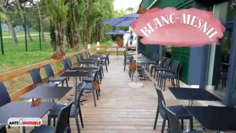 Le-Blanc-Mesnil restaurant