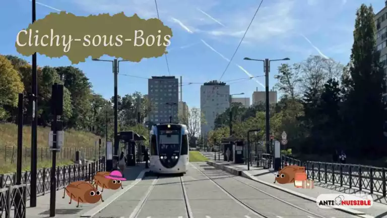 Tramway Clichy-sous-Bois