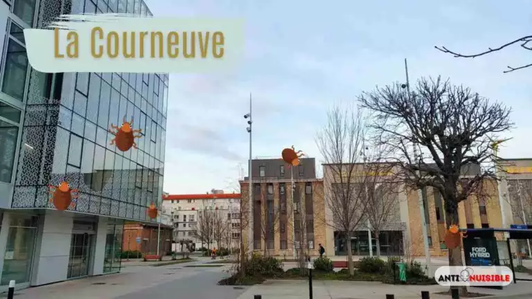 Avenue Victor Hugo - La Courneuve