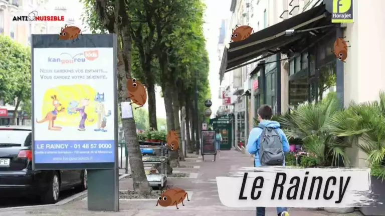 Le Raincy Rue