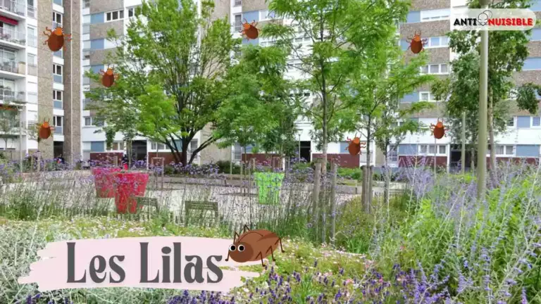 Les-Lilas appartement