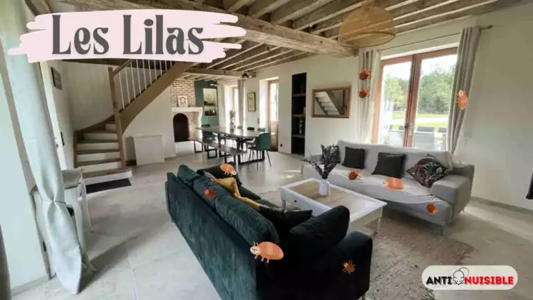 Les-Lilas Maison