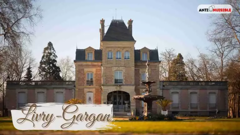 Punaises de lit Livry-Gargan