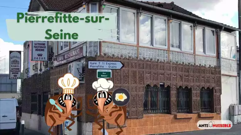 Pierrefitte-sur-Seine Restaurant