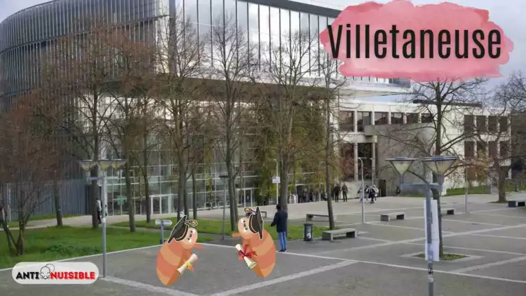 Villetaneuse Université