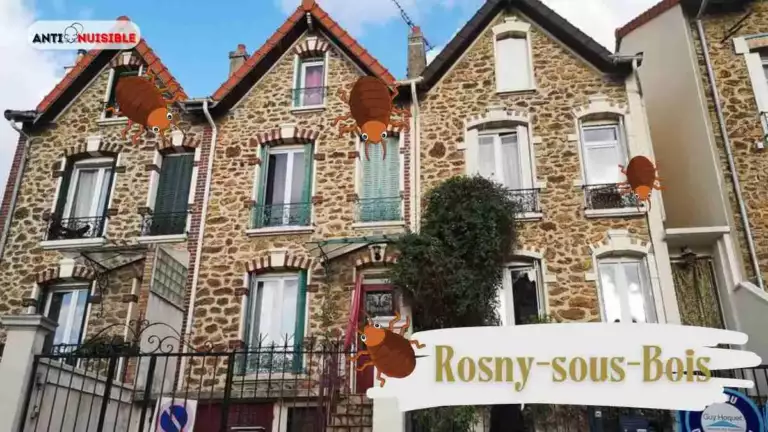 Immobilier à Rosny-sous-Bois