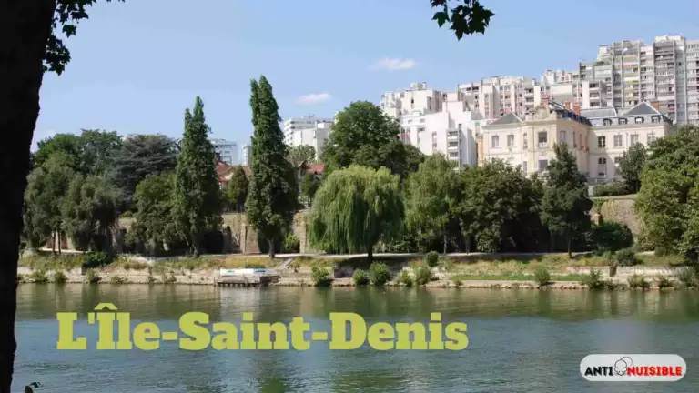 Punaises de lit L'Île-Saint-Denis