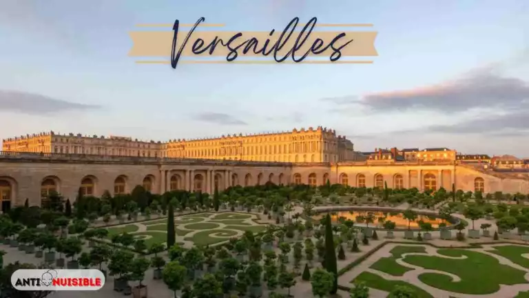 DERATISATION VERSAILLES