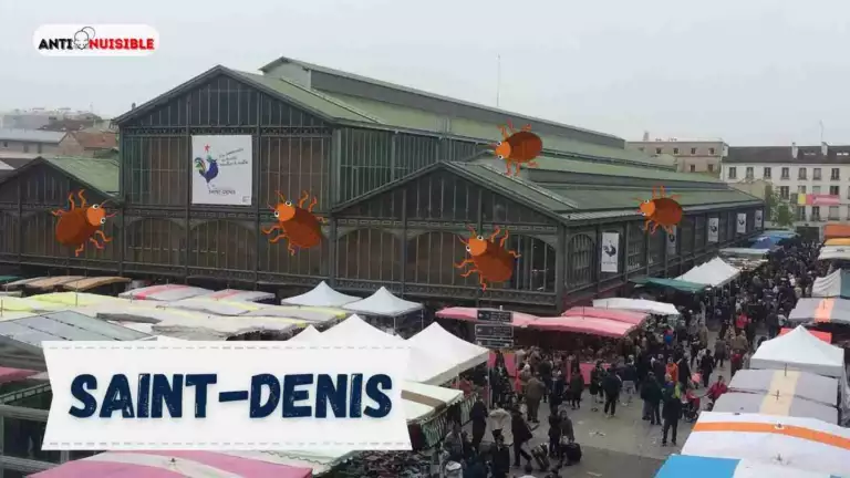 Marché de Saint-Denis