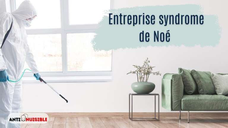 Entreprise syndrome de Noé