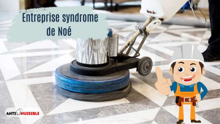 Nos outils avancés pour le syndrome de noé