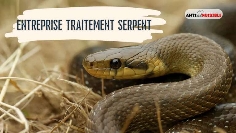 Entreprise traitement serpent