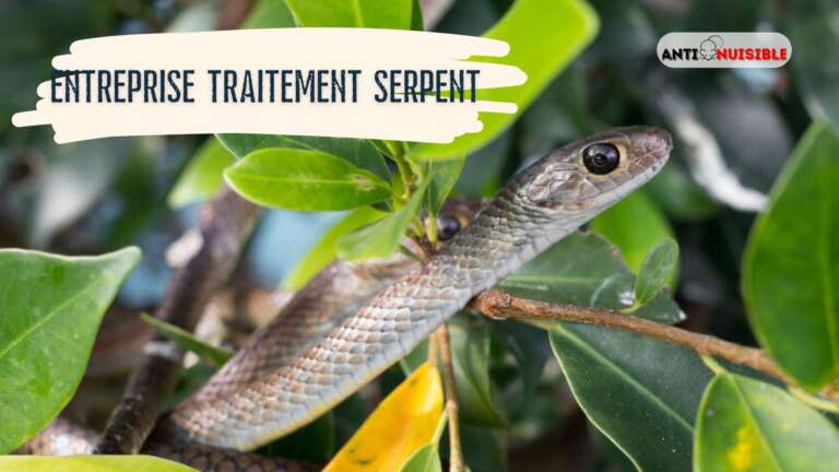 Serpent dans le jardin.