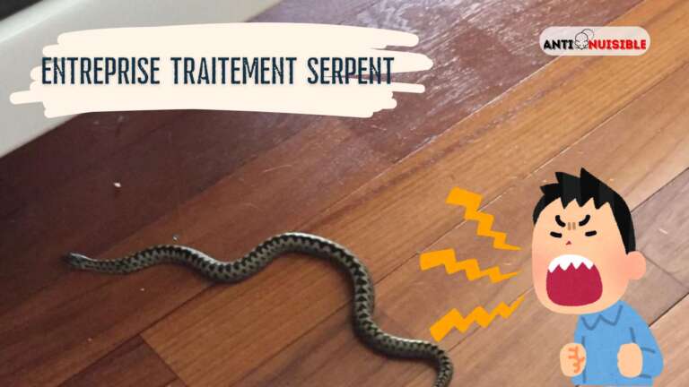 Un serpent apparait dans la maison.